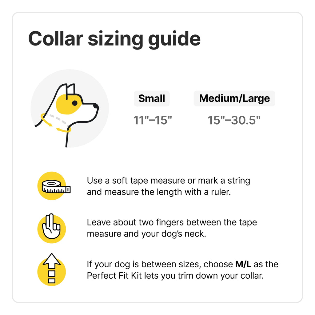 3 - Wireless GPS Dog Fence & Training Collar with Real-Time Tracking, Sunburst, Small