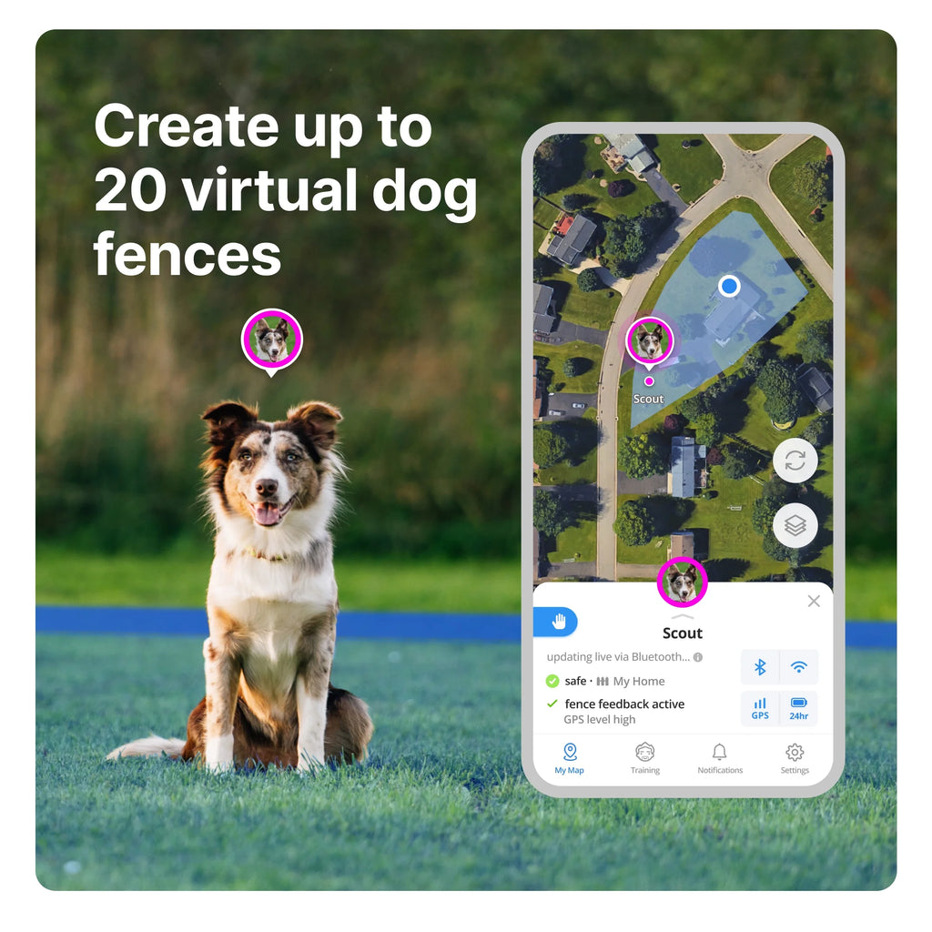 3 - Wireless GPS Dog Fence & Training Collar with Real-Time Tracking, Sunburst, Medium/Large