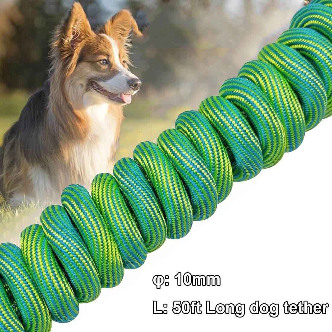 8Ft/12Ft/20Ft/30Ft/50Ft/75Ft Dog Tie-Out Long Tether Rope Dog Leash, Outdoor Dog Yard Leash- Large Medium Small Dogs Training, Playing, Camping,Backyard