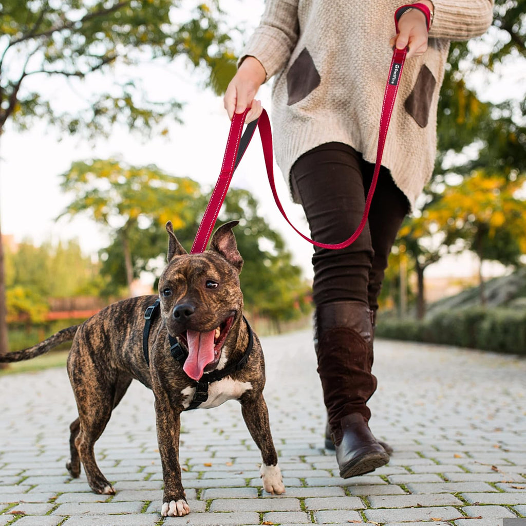 4FT Heavy Duty Dog Leash with Soft Padded Double Handle, Durable Strong Clasp Dog Leashes, Reflective Nylon Walking Lead for Large,Medium,Small Breed Dogs, Red