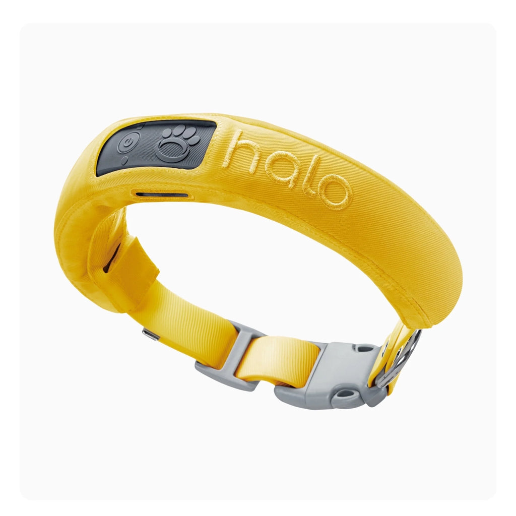 3 - Wireless GPS Dog Fence & Training Collar with Real-Time Tracking, Sunburst, Small