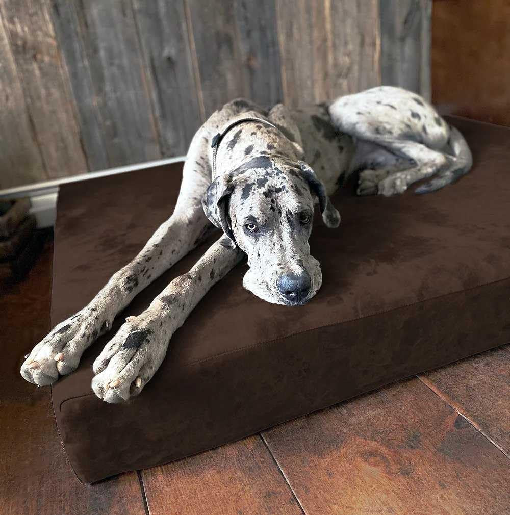 7" Pillow Top Orthopedic Dog Bed for Large and Extra Large Breed Dogs (Sleek Edition) (Giant (60 X 48 X 7), Chocolate)