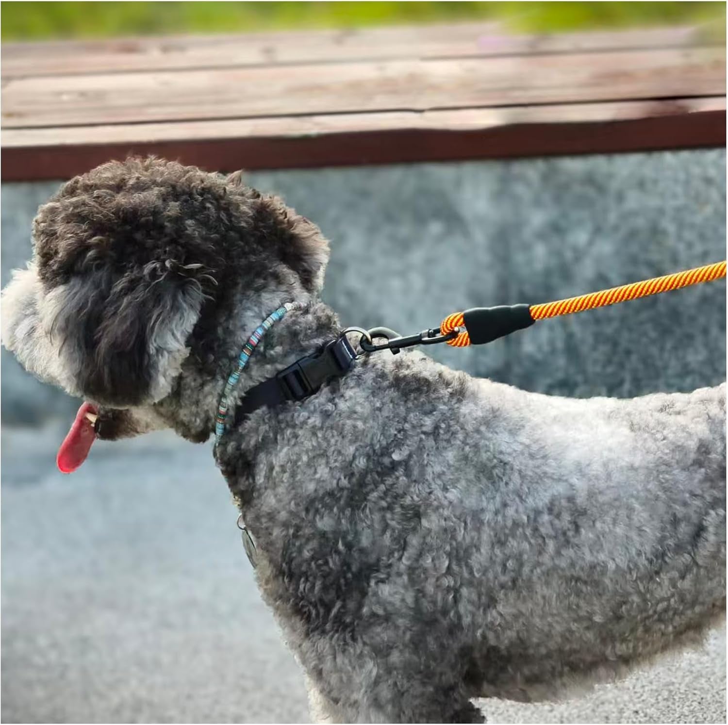 Heavy Duty Rope Dog Leash, 3/4/5/6/7/8/10/12/15 FT Nylon Pet Leash, Soft Padded Handle Thick Lead Leash for Large Medium Dogs Small Puppy